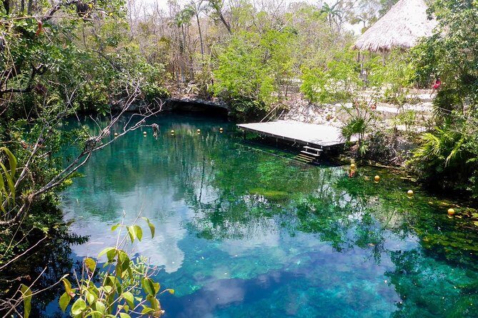 Private transfer for 5 hours (go dinner,cenotes, shopping and more) - Dinner stops: letting your driver wait at Casa Jaguar and Gitano