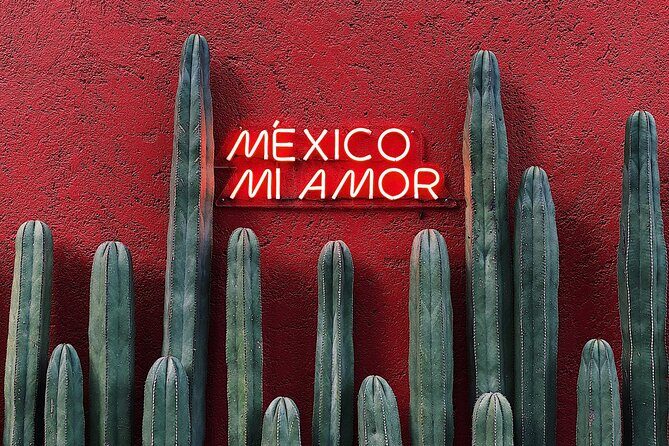 Private Transfer from Playa del Carmen to Tulum - English-Speaking Driver: More Than Just Transportation