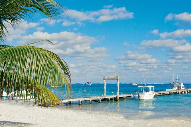 Private Transfer: Playa del Carmen to Cancun Airport CUN by SUV - What the reviews reveal (and why it matters)