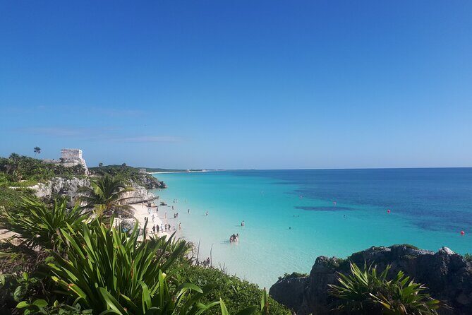 Private Tulum & Cenotes tour - Casa Cenote snorkeling: open-water swim, mangroves, and darker cave sections