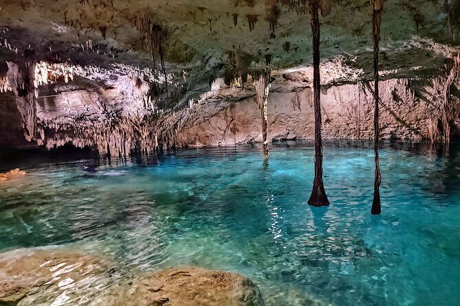 Private Tulum Experience & Cenote - Quick hits: why this Tulum and cenote day works