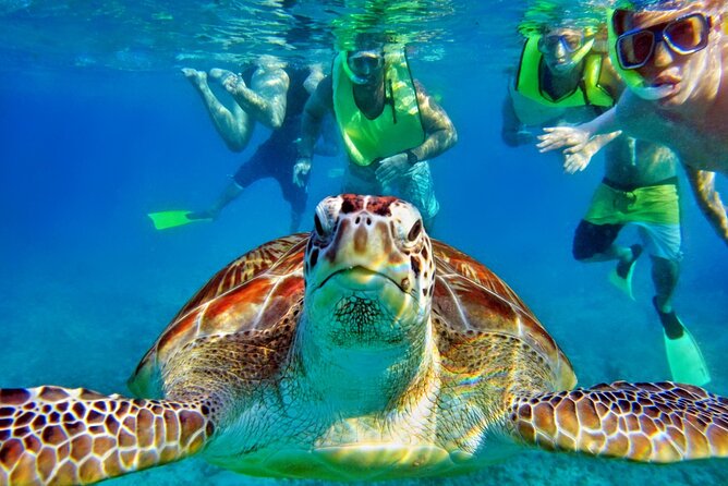 Private Tulum Mayan Ruins & Swimming with Turtles Experience - Stop 1: Akumal Beach Snorkeling With Turtles