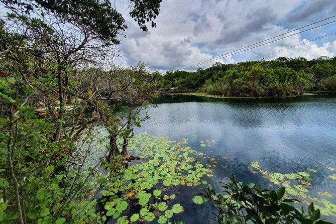 Private - Tulum Ruins and 3 Cenotes Jungle Adventure - Private pickup and a guide who sets the pace