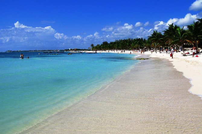 Private Turtle Snorkel Adventure in Akumal - Turtle sightings and reef life: what to do once you’re in the water