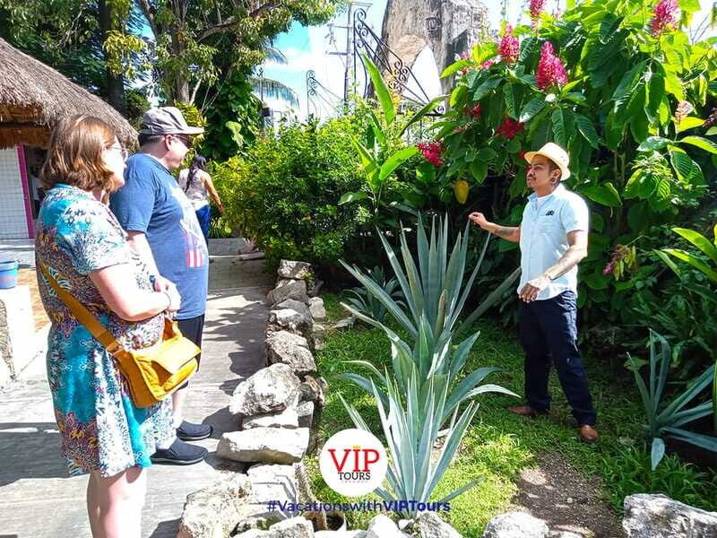Private Van Service. Tasting the best of Cozumel - Price and Value for a Group Up to 4
