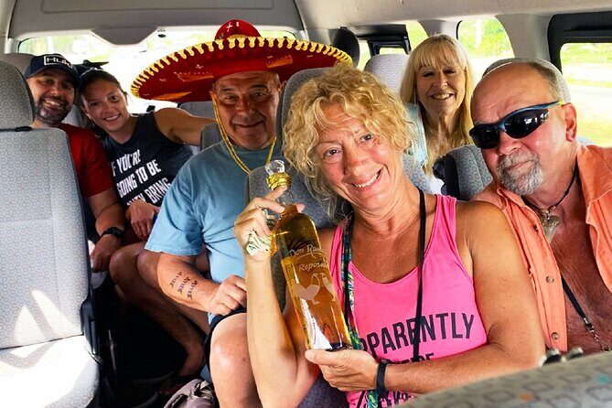 Private Van Service - A 5-Hour Cozumel Plan With Time to Spare