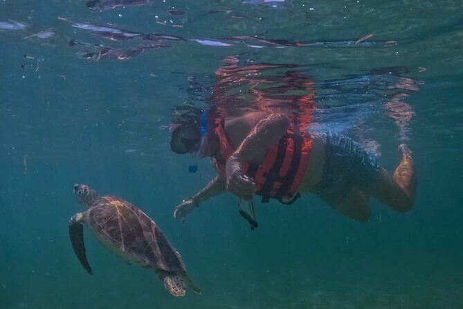 Private VW Beetle Tour Swim with Turtles, Visit Tulum Ruins&Town - Meet your guide style and how the day flows