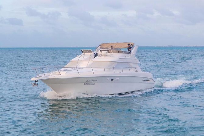 Private Yacht Rental Sea Ray 46ft Cancun 23P3 - Drinks, snacks, and what you might want to bring