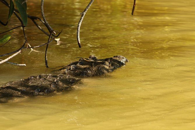 Private Yucatan Discovery Tour - Day 4: Coba, then Tulum and transfer to your Riviera Maya hotel