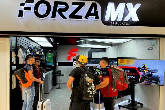 Professional racing simulator - Who Should Book This (and Who Might Skip It)