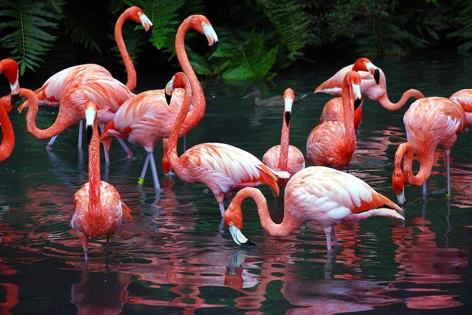 Progreso All-Inclusive xcambo mayan ruins Adventure & beach break - Stop 2: Dzemul–Xtampú pink salt flats with a souvenir moment
