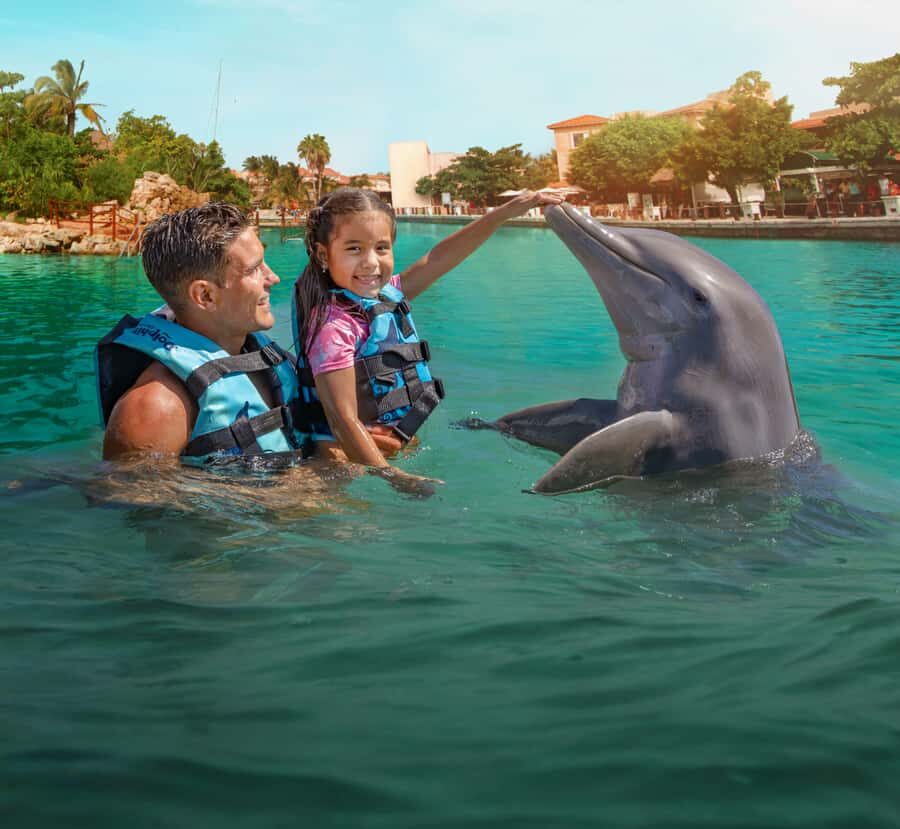 Puerto Aventuras: Dolphin and Manatee Interaction with Lunch - Who This Dolphin and Manatee Tour Suits Best