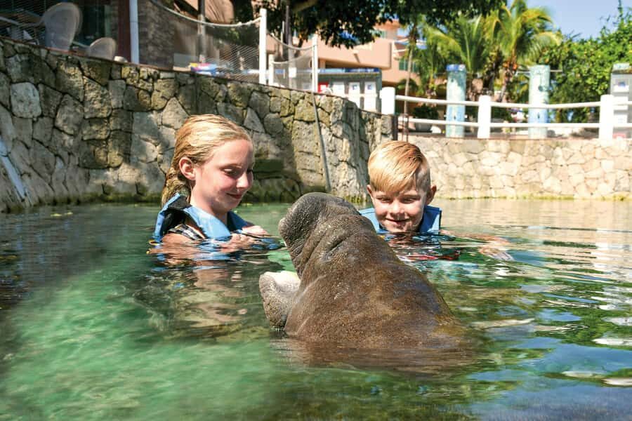 Puerto Aventuras: Dolphin and Manatee Interaction with Lunch - Should You Book This Dolphin and Manatee Interaction With Lunch?