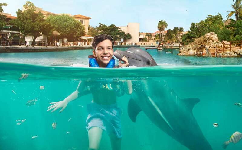 Puerto Aventuras: Dolphin Encounter with Buffet Lunch - How the Puerto Aventuras dolphin encounter runs in 50 minutes