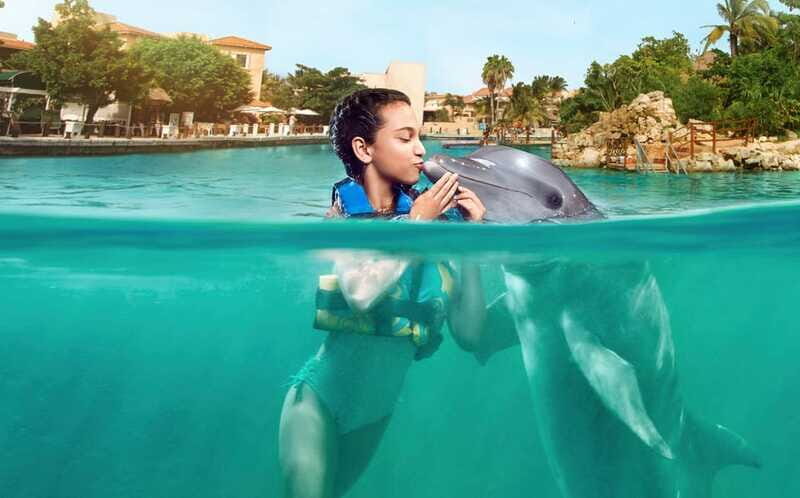 Puerto Aventuras: Dolphin Encounter with Buffet Lunch - Price and value: is $87 per person fair?