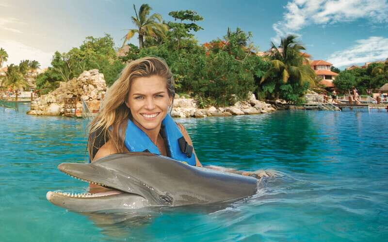 Puerto Aventuras: Dolphin Swim, Sea Lions, Manatees, & Lunch - Key things to know before you book