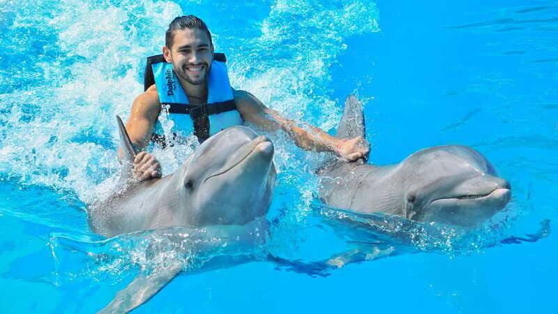 Puerto Aventuras: Dolphin Swim, Sea Lions, Manatees, & Lunch - Price and value: is $135 fair for dolphins, sea lions, manatees, and lunch?