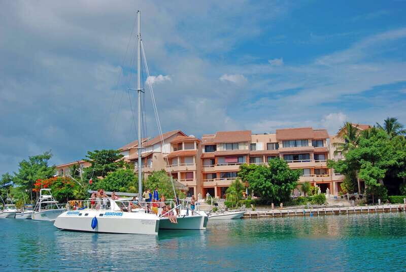 Puerto Aventuras: Manatee Encounter - Where You Meet the Manatees: Dolphin Discovery in Puerto Aventuras