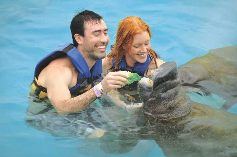 Puerto Aventuras: Manatee Encounter - Marina Time Afterward: Pool, Showers, Lockers, and a Longer Day