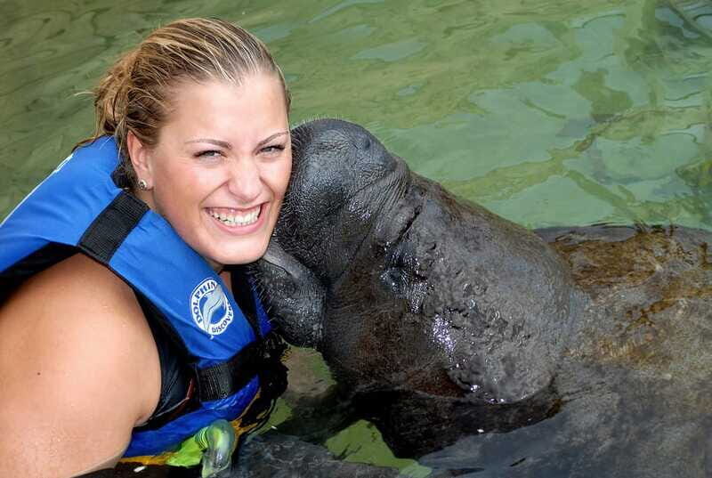 Puerto Aventuras: Manatee Encounter - Price and Value: Is $55 Worth It for 30 Minutes?