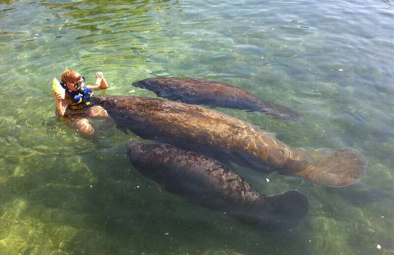 Puerto Aventuras: Manatee Encounter - Service and Timing: When Check-In Feels Rushed