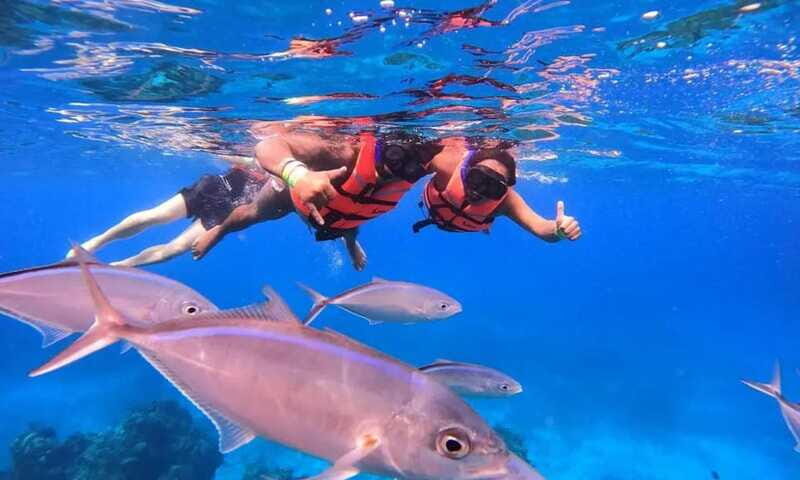 Puerto Morelos: Guided Snorkeling Tour with Gear & Fees - Guides Like Greg, Craig, Jose, and Luis Make the Difference