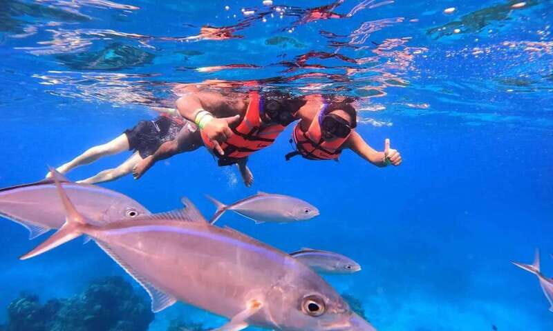 Puerto Morelos: Guided Snorkeling Tour with Gear & Fees - Javier Rojo Gomez Meeting Point: Get There Early and Be Ready