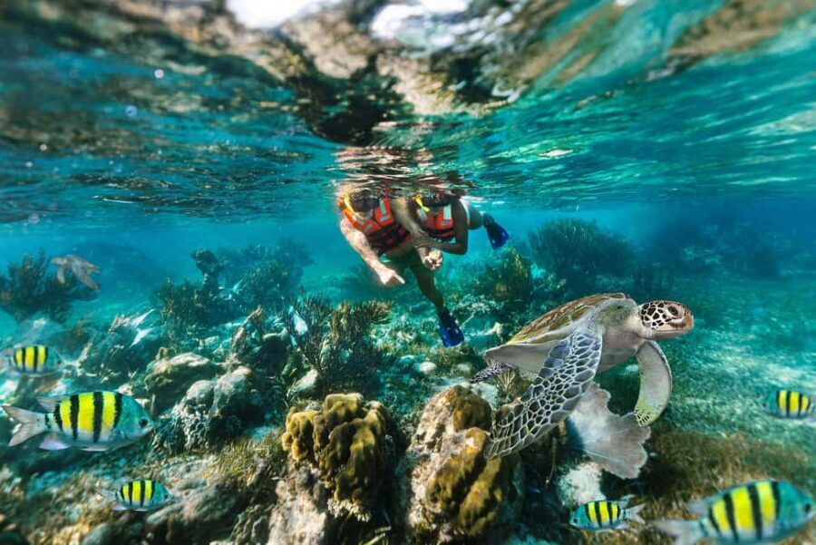 Puerto Morelos: National Reef Park Snorkeling & Beach Lunch - Key things to know before you go