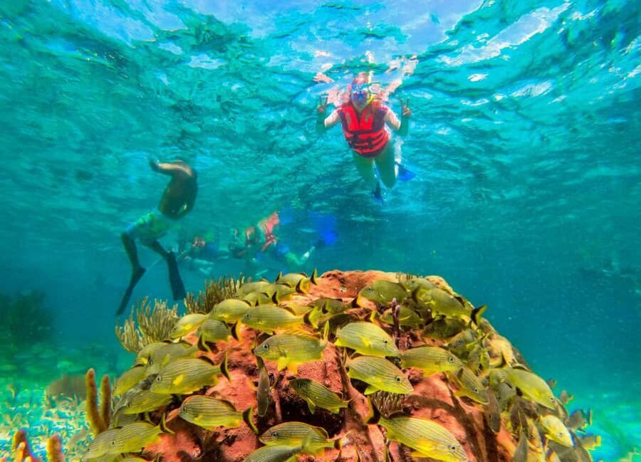 Puerto Morelos: National Reef Park Snorkeling & Beach Lunch - Value check: is $39 worth it for a reef day with pickup and lunch?