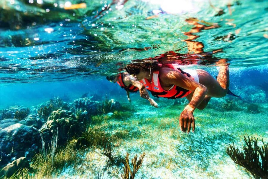 Puerto Morelos: National Reef Park Snorkeling & Beach Lunch - Who should book this Puerto Morelos reef snorkeling trip