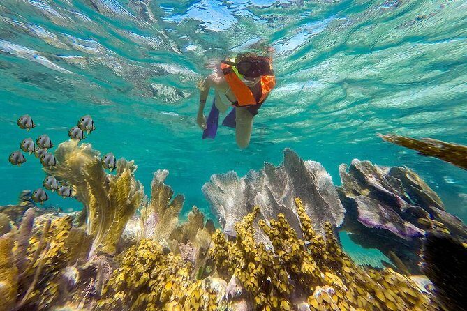 Puerto Morelos Reef Snorkeling Tour with Lunch & Hotel Pickup - Who this tour fits best (and who should skip it)