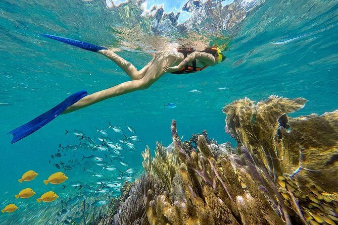 Puerto Morelos Reef Snorkeling Tour with Lunch & Hotel Pickup - Snorkeling with the guide: better masks, safer pacing, better chances