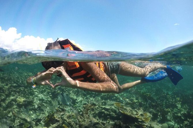 Puerto Morelos Reef Snorkeling Tour with Lunch - Getting picked up: what the morning feels like