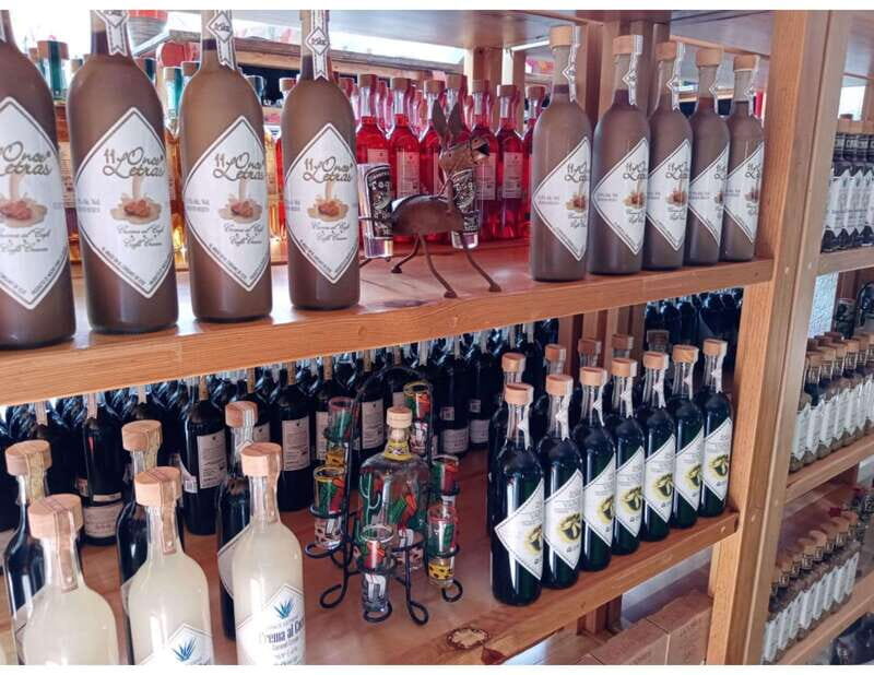 Puerto Morelos: Shopping Tour & Cenote La Noria - Key Points to Know Before You Go