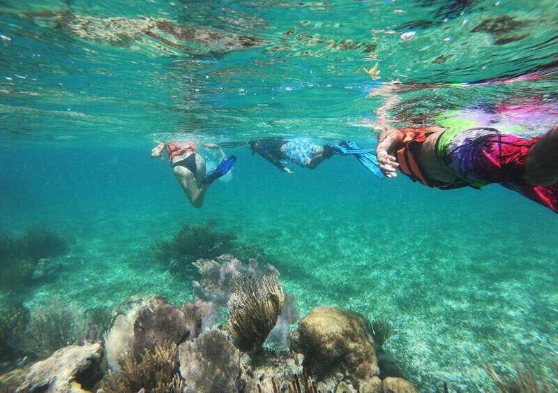 Puerto Morelos: Snorkel in Coral Reef with transportation - National Reef Park Snorkel: How the Guided Line Works