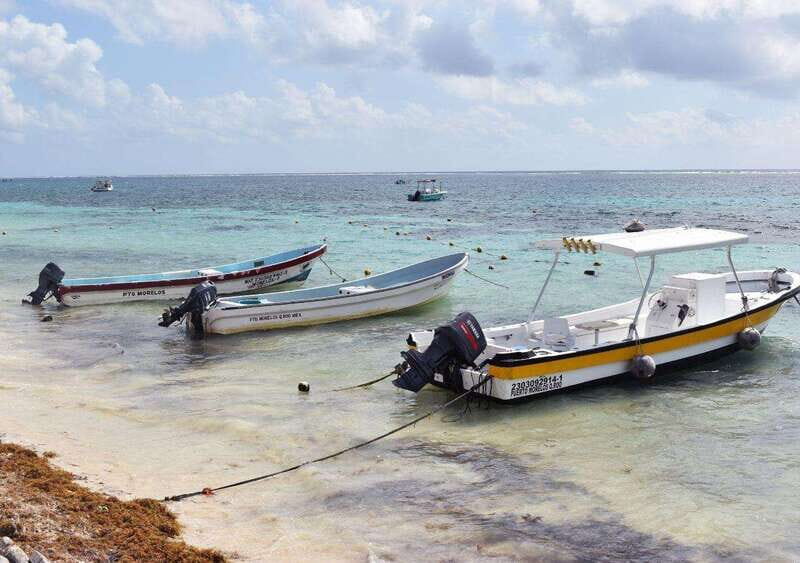 Puerto Morelos: Snorkel in Coral Reef with transportation - Photo Packages and Souvenirs: Decide Before You Get Pressure