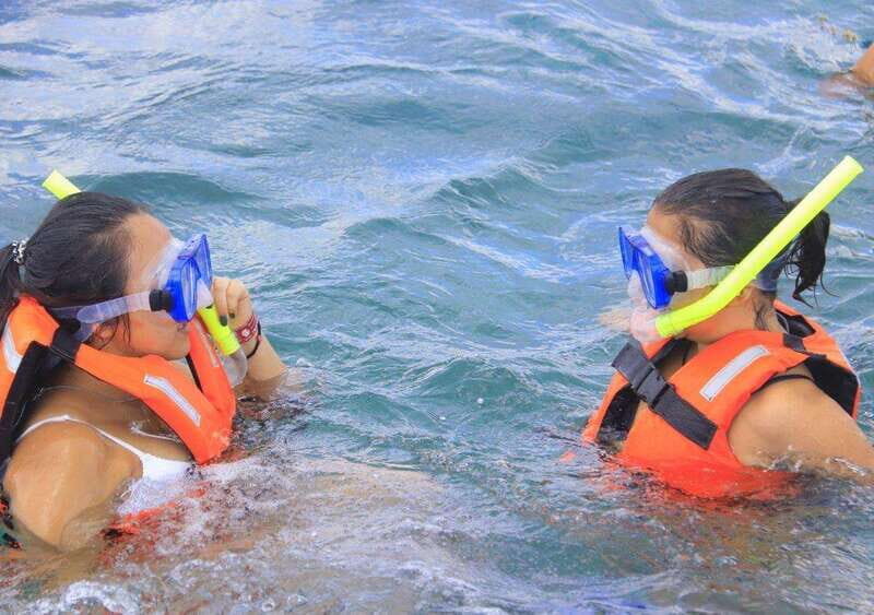 Puerto Morelos: Snorkel in Coral Reef with transportation - Price and Value: Is $55 Worth It Here?