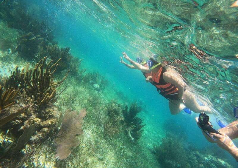 Puerto Morelos: Snorkel in Coral Reef with transportation - Who This Tour Suits Best (and Who Might Want an Alternative)