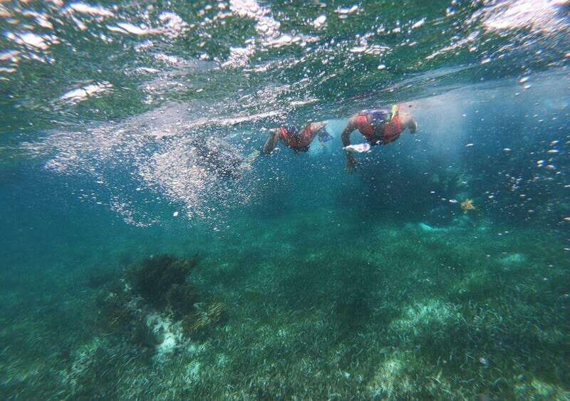 Puerto Morelos: Snorkel in Coral Reef with transportation - Tips to Make Your Snorkel Happier