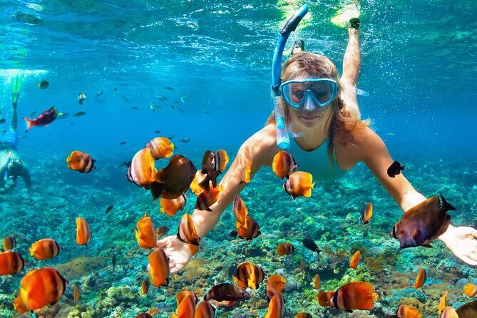 Puerto Morelos Snorkel, Town Walk, Tequila Tasting & Beach Lunch - Reef Snorkeling Near Puerto Morelos: What You’ll Actually See