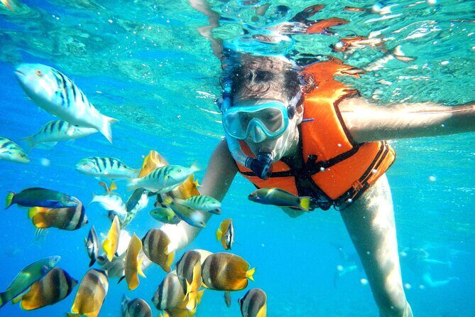 Puerto Morelos Snorkel, Town Walk, Tequila Tasting & Beach Lunch - Tequila Tasting and the Maker Lesson: A Fun Change of Pace