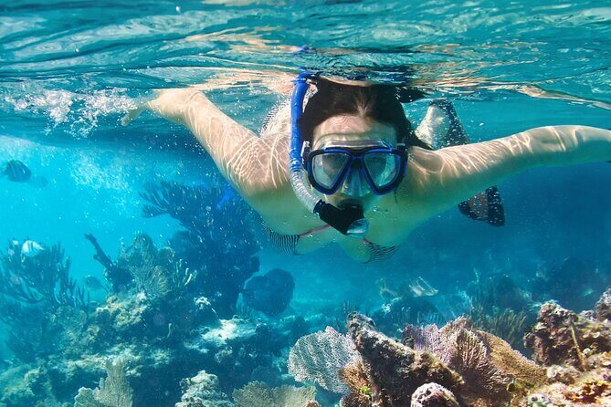 Puerto Morelos Snorkel, Town Walk, Tequila Tasting & Beach Lunch - Gear, Clothing, and Rules: Pack Like You Mean It