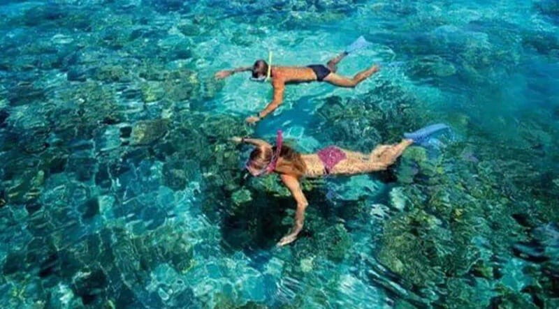 Puerto Morelos: Snorkeling at The National Reef Park - Two reef swims: how the 2-hour plan keeps things interesting