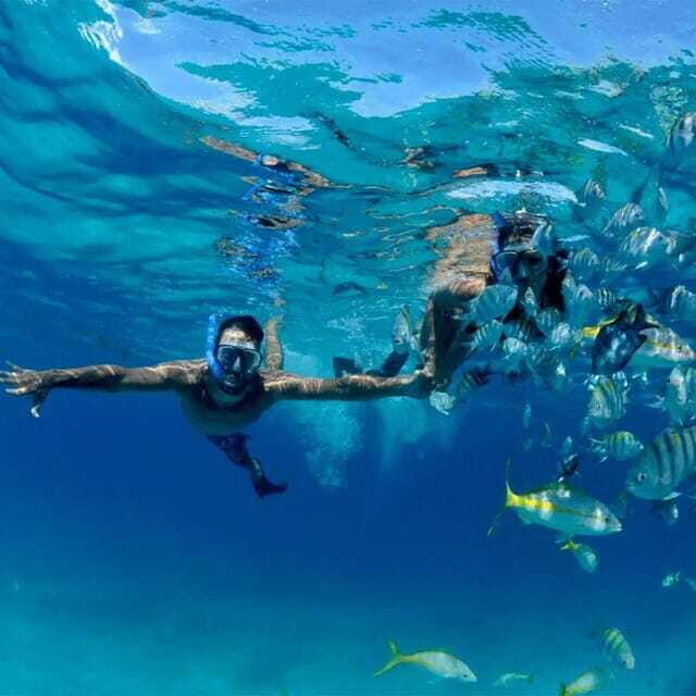 Puerto Morelos: Snorkeling at The National Reef Park - Safety and comfort: life jackets, certified guidance, and calm pacing