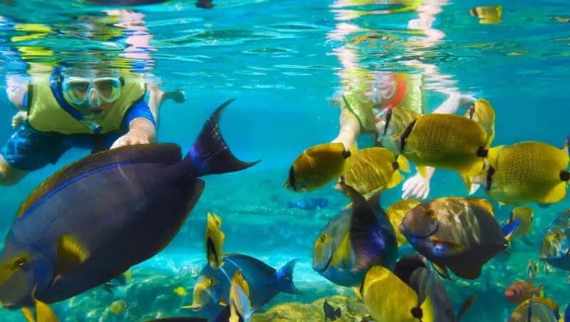 Puerto Morelos: Snorkeling at The National Reef Park - Meeting outside Crazy Fish Tacos and getting on the water quickly