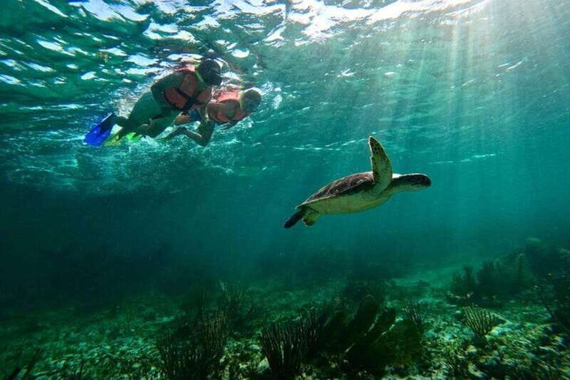 Puerto Morelos: Snorkeling Guided Activity - Puerto Morelos snorkeling: the reef you can actually see clearly
