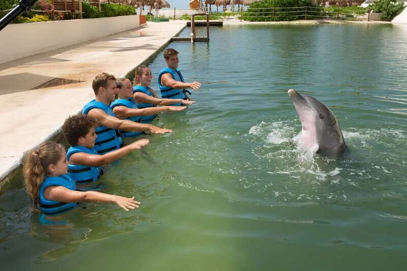 Punta Cancun: Swim with dolphins Interax - Why Punta Cancun Interax feels efficient (and not just a photo op)
