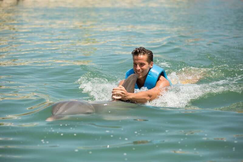 Punta Cancun: Swim with dolphins Interax - The 30 minutes in the water: what the 14 activities look like