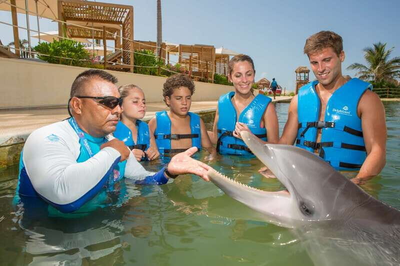Punta Cancun: Swim with dolphins Interax - Touch, petting, and the dolphin kiss: the interaction you should picture
