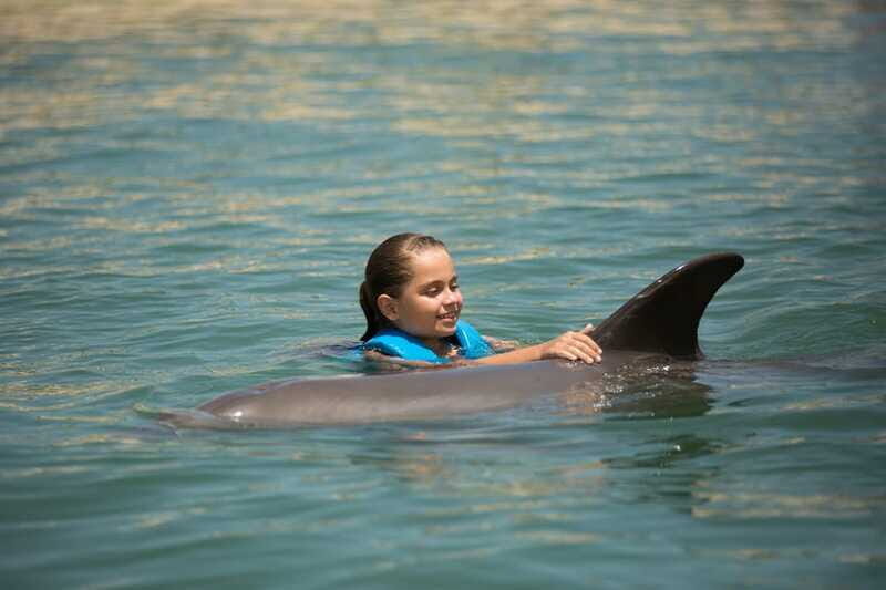 Punta Cancun: Swim with dolphins Interax - Rules that affect your comfort: cameras, jewelry, and hotel boundaries